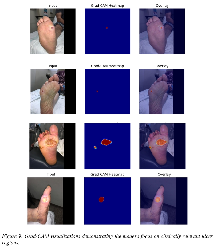 Grad-CAM Clinical AI Heatmaps